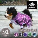 GEWALKジウォーク2025年モ...