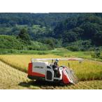 ショッピング米 10kg 特別栽培米　2025年産　こしいぶき　新潟県吉川区川谷産　棚田米　10kg