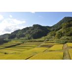 Yahoo! Yahoo!ショッピング(ヤフー ショッピング)カモ農法コシヒカリ　玄米　　（無農薬・有機肥料）3kg