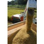 特別栽培米　2025年産　コシヒカリ　玄米 10kg