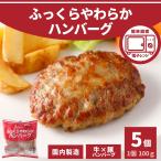 ショッピングハンバーグ ハンバーグ ふっくらやわらか ハンバーグ 100g 5個 500g 冷凍 冷凍食品 牛肉 豚肉 業務用 お弁当 お惣菜 冷凍総菜 お弁当 おかず 電子レンジ 温めるだけ