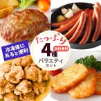 冷凍食品 業務用 ハンバーグ ウイン