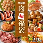 福袋冷凍食品食品肉2.8kg送料無...