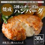 チーズインハンバーグ 30個 2.7kg 冷凍 冷凍食品 ハンバーグ お徳用 お得用 5種 チーズイン 業務用 新商品 濃厚 お弁当 おかず 冷凍食品 冷凍総菜 レンジ