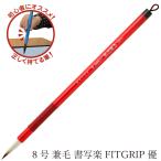 a... каллиграфия для кисть 8 номер . шерсть документ . приятный FITGRIP super (8.... уже ......FITGRIP..) PS-F61