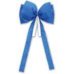 .... простой лента синий 1695 лента лента волосы организовать синий цвет лента лента движение . физическая подготовка праздник презентация Event 