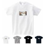 【半袖 スモールアートTシャツ】ミケランジェロ・ブオナローティ Tシャツ アダムの創造フォーカス 半袖 メンズ レディース 大きいサイズ 絵画 白
