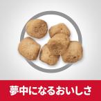 猫用ドライフード