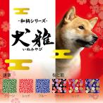 犬用迷子札、名札、IDタグ