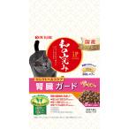 猫用ドライフード