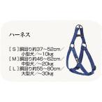 犬用迷子札、名札、IDタグ