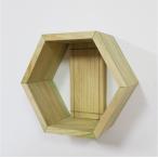 ヘキサゴン壁かけラック EASY RACK HEXAGON with壁美人(ホッチキス固定)イージーラック ヘキサゴン グリーン