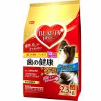 日本ペットフード ビューティープロ ドッグ 歯の健康 1歳から 2.3kg  犬用 ドライ 中袋