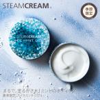 スチームクリーム 公式 夏季限定 アイスミントジェル 75g 日本製 コスメ ギフト 肌 保湿 スキンケア ボディクリーム ひんやり クール 冷感