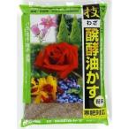 大和　技　醗酵油粕　粉末　５００ｇ