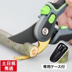 剪定鋏 高級 剪定ばさみ プロ 園芸はさみ バネ 園芸ハサミ 花用 花ばさみ さびない スチール SK5 園芸用はさみ 小型 剪定