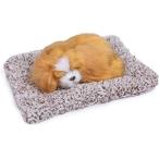 .. собака futon .syasya. быть . лицо ... талант пожалуйста Brown 