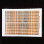 側面行先表示ステッカー207系オレンジLED英字小文字(Nゲージ)