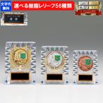  награждение .KV-5452 A размер ~C размер [ знак плата бесплатный ] акрил вертикальный Gold автомобиль chi чемпионский кубок ... индустрия сувенир Golf футбол бейсбол каратэ награждение 