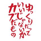  медленно ....... нет . Cub . было использовано / безопасность движение / борт движение предотвращение / разрезные наклейки 