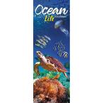 Ocean Life 2022 Slim Calendar