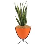 Hip Haven Retro Bullet Planter Short ȥӥå ץ󥿡 饹եСץ󥿡 Made in USA