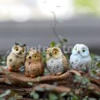  No-brand товар кукольный дом миниатюра микро пейзаж бонсай сад сова 4 перо 