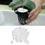 水耕栽培スポンジ 定植スポンジ  水耕スポンジ  園芸 植木 盆栽 除草ツール 約100ピース