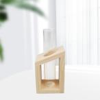 水耕栽培植物用ガラス試験管花瓶プランター植物テラリウム1チューブ