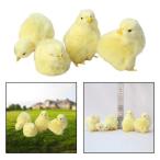 Yahoo! Yahoo!ショッピング(ヤフー ショッピング)4個/セットクリエイティブチキンモデルオーナメントソフトかわいい装飾チキンおもちゃ教育モデル動物人形学校のリビングルームパーティーホーム