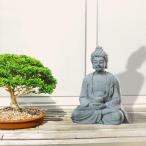  изображение Будды . оборудование орнамент украшение маленький ..., E