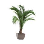 鉢植えの植物のウォールステッカー 3D ウォールアートステッカー 部屋の廊下の壁紙 剥がして貼る寝室の植物のウォールデカール