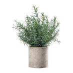 デスクトップ装飾用の人工小型鉢植え植物 ヘディキウム・ディフューサム