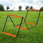  Agility лестница легко тренировка . выставить складной портативный футбол foot Work лестница 4g крышка сумка нет 