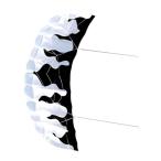 2mpa черновой . дельфин ito2 линия 30mla мгновенный кайт ребенок взрослый мужчина для девочки черный белый 