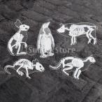 樹脂透明豚猫ペンギンウサギ動物樹脂ブローチ卸売