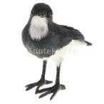 リアル 人工ファー製 鳥モデル 動物フィギュア ぬいぐるみ 装飾 置き物 全2カラー - ブラック