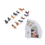 昆虫アニマルマッチ-ミニチュア家禽置物(12個)とマッチングカード(12個)-2学習玩具.言語教材