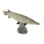 シミュレーション海洋動物モデル図教育玩具ワニガーB