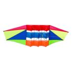 250cmx80cm кайт уличный ребенок взрослый ребенок девушки boys 