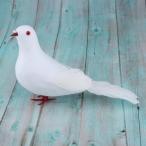 .. человеческий труд перо пена голубь. птица. свадьба украшение . установить 