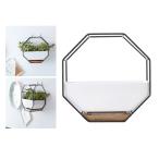 八角形ラック多肉植物プランターブラックの卓上セラミック屋内植木鉢