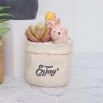 植木鉢多肉植物プランターデスクトップウサギベージュのかわいい動物アートの装飾