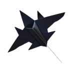  пляж park. наружный игра для большой самолет кайт полет самолет. самолет. кайт спорт игрушка, чёрный, большой 