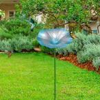 mo- человек gg грузовик Shape. bird автобус ( газонная трава сырой шпаклевка .o наружный для подставка кормление миска имеется ) голубой 