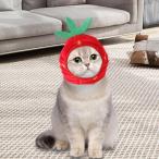  собака. кошка. шляпа. . собака поэтому. зимний поверхность белый шляпа. клубника . украшать. 