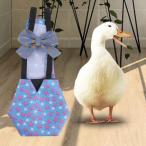 チキンダックおむつウェアコスチューム家禽ナッピーアヒルの子鶏ブルーM