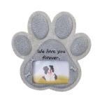  закрытый наружный двор. кроме того, газонная трава сырой. собака поэтому. память . камень полимер . камень 