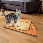  кошка для коврик p гонки коврик туалетный наполнитель tray . кошка ... для домашних животных пол . кошка orange 