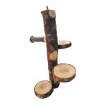  из дерева climbing лестница деятельность хомяк ... игрушка morumoto шиншилла попугай ..